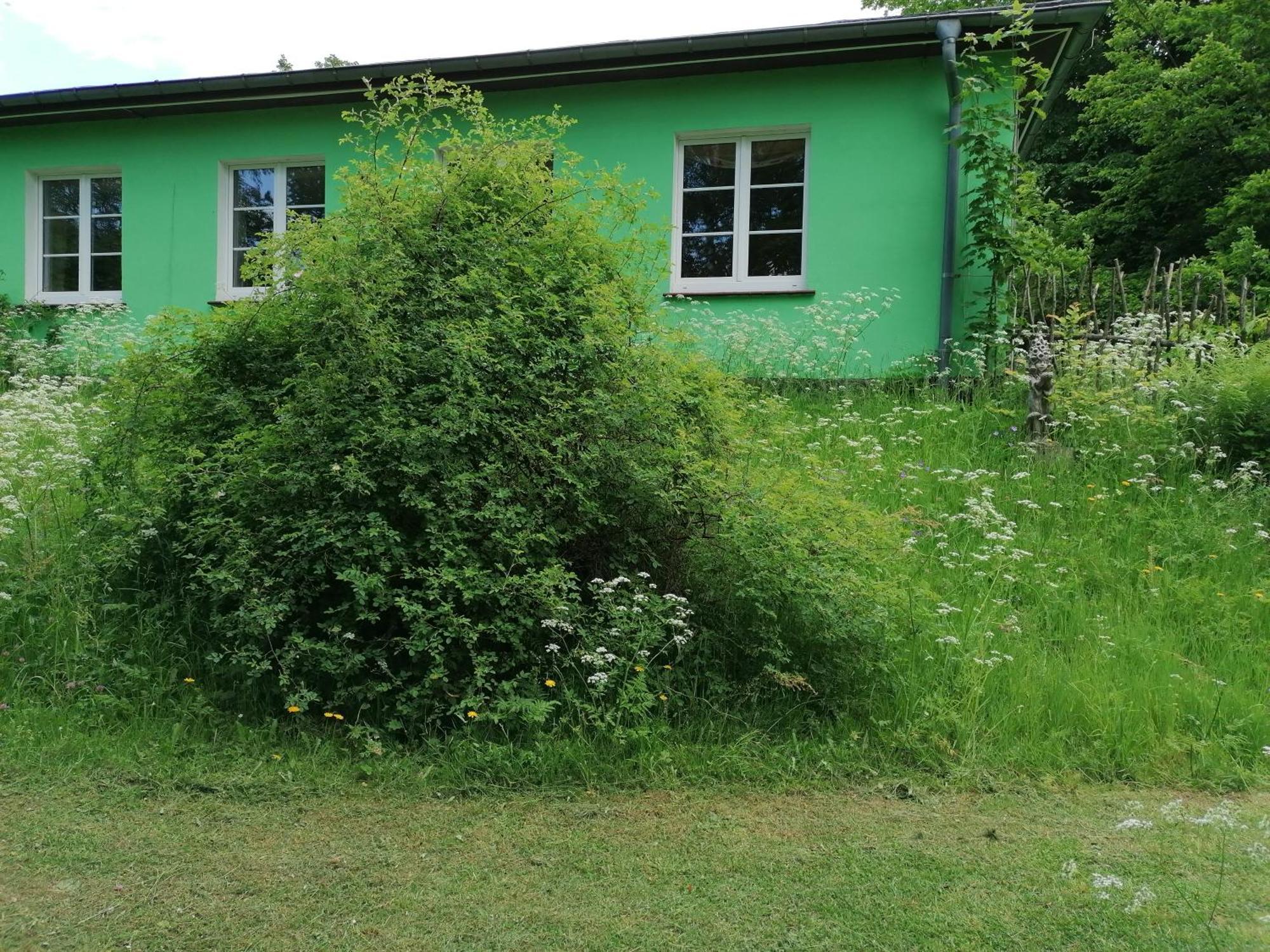 Kraeuterbaude Hotel Saupsdorf Kültér fotó